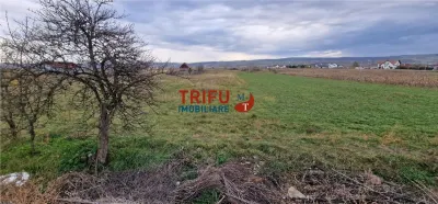 Teren 2160mp în  Partoș - foto 7
