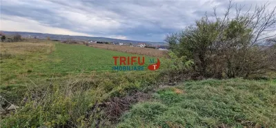 Teren 2160mp în  Partoș - foto 8