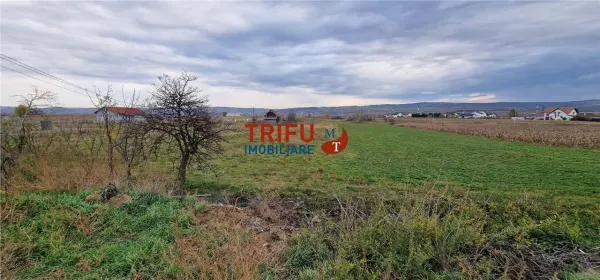 Teren Alba Iulia - poza 9