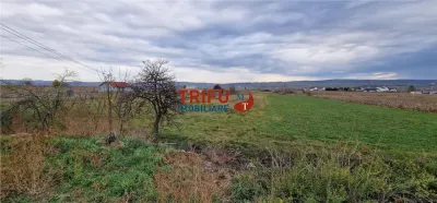 Teren 2160mp în  Partoș - foto 10