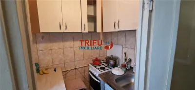 Garsonieră Alba Iulia - poza 7