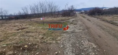 Teren pentru casă în zona Podei 1091mp - foto 5