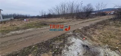Teren pentru casă în zona Podei 1091mp - foto 6