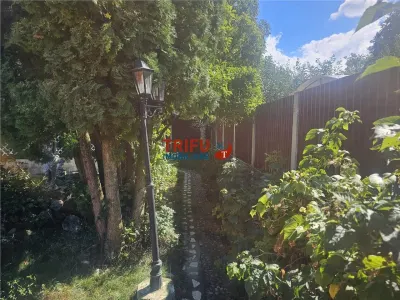Casă 5 camere Alba Iulia - poza 16