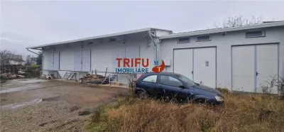 Oportunitate de Achiziție: Spațiu Industrial în Alba Iulia - Alba Iulia