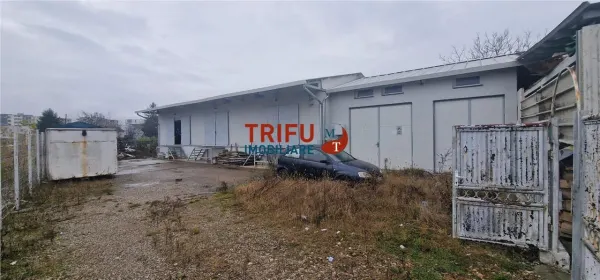 Spațiu industrial Alba Iulia - poza 3