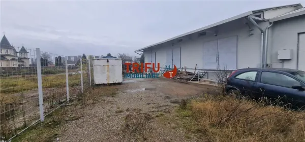 Spațiu industrial Alba Iulia - poza 4