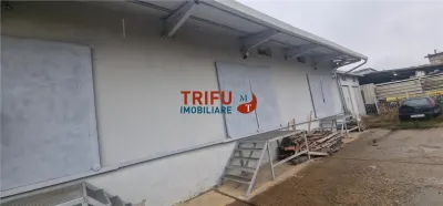 Oportunitate de Achiziție: Spațiu Industrial în Alba Iulia - foto 6