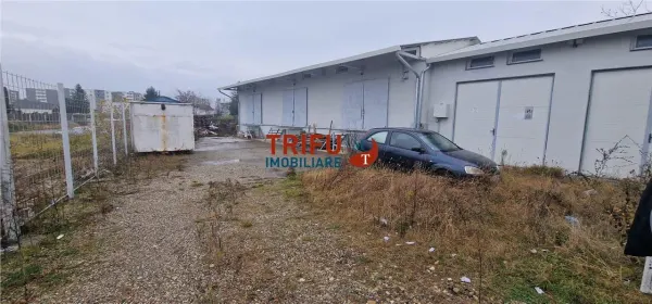 Spațiu industrial Alba Iulia - poza 7