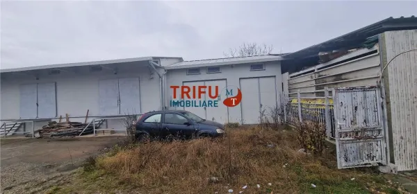 Spațiu industrial Alba Iulia - poza 8