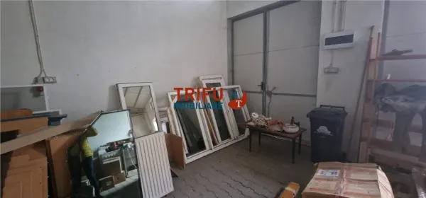 Spațiu industrial Alba Iulia - poza 9