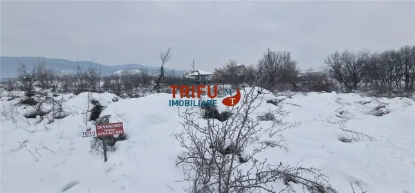 Teren Alba Iulia - poza 12