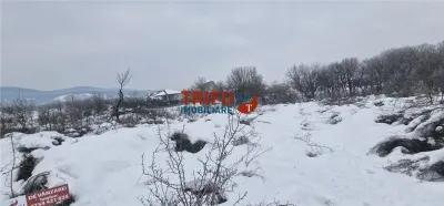 Teren de vanzare zona Podei - foto 9