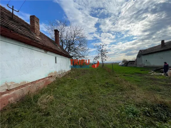 Teren Șard - poza 2