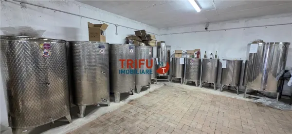 Casă 4 camere Cricău - poza 20