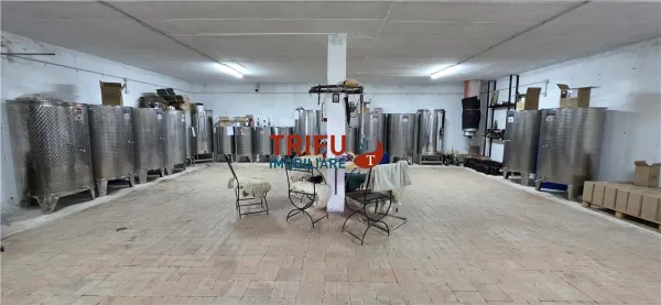 Casă 4 camere Cricău - poza 21