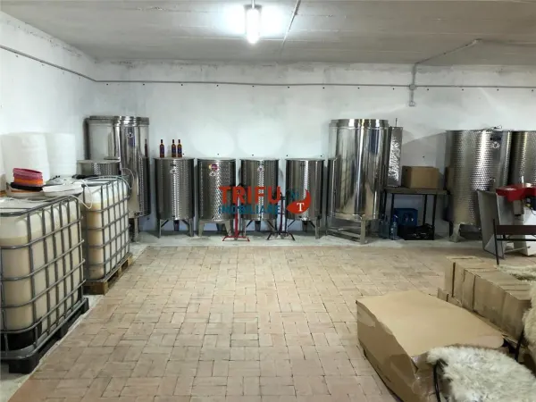 Casă 4 camere Cricău - poza 23