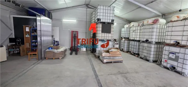 Casă 4 camere Cricău - poza 24