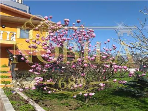 Casă 4 camere Onești - poza 1