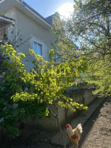 Vila P + 1 si  teren atat ptr.bussines cat si ptr locuit Onesti - foto 4