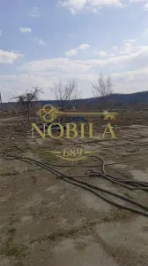 Teren intravilan 5,9 ha compact, platou cu utilitati   ptr.bussines -Hale, Depozite,Panouri - foto 2
