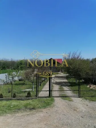 Casă 5 camere Sascut - poza 5