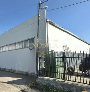 Spațiu industrial Bacău - poza 4