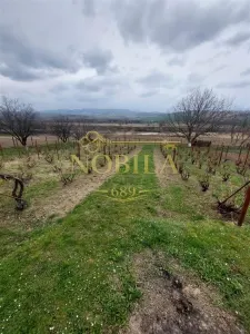 Casa de vanzare cu gradina aproape de Onesti - foto 11