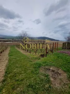 Casa de vanzare cu gradina aproape de Onesti - foto 9