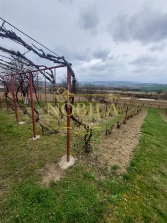 Casă 3 camere Onești - poza 10