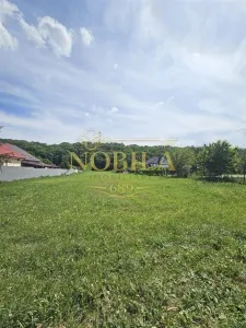 TEREN DE VANZARE IN EXCLUSIVITATE IN ONESTI PE STRADA REDULUI 7028 MP - Onesti