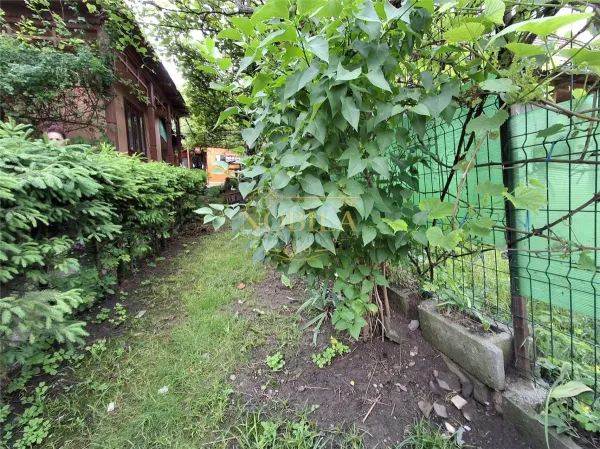 Casă 3 camere Târgu Ocna - poza 3
