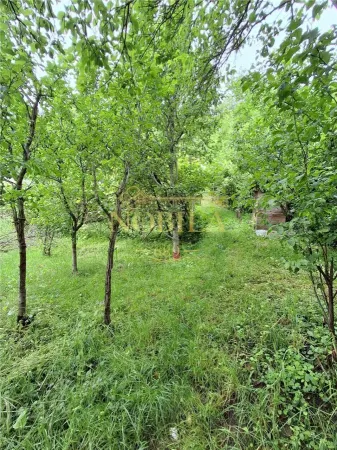 Casă 3 camere Târgu Ocna - poza 23