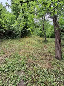 CASA SI TEREN DE VANZARE  IN TARGU OCNA - foto 24