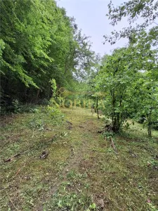 CASA SI TEREN DE VANZARE  IN TARGU OCNA - foto 25
