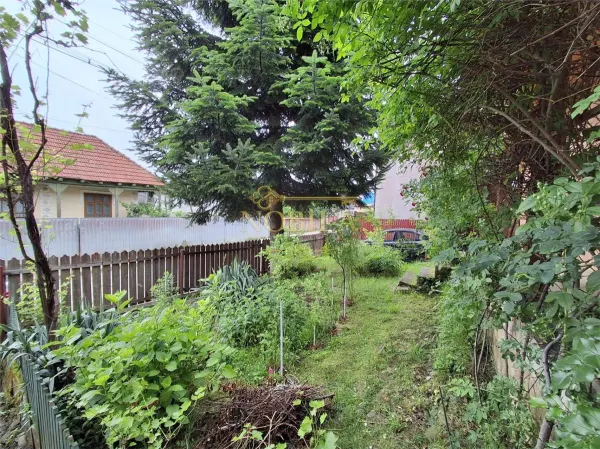 Casă 3 camere Târgu Ocna - poza 9