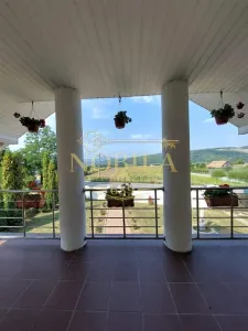 Vila de vanzare P+1 si  4200 mp teren in Com Livezi - foto 11