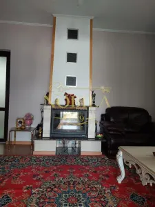 Vila de vanzare P+1 si  4200 mp teren in Com Livezi - foto 4