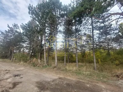 TEREN DE VANZARE 2000 MP IN VECINATATEA RAFO CU DESHIDERE LA SOSEAUA INDUSTRIILOR - foto 3
