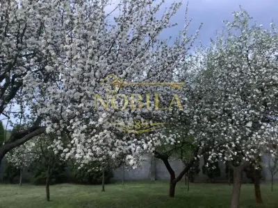 CLADIRI + 1 HA TEREN DE VANZARE PENTRU DEZVOLTARE BUSSINES - CAZARI, AGREMENT, AZIL, CAZINO IN ONESTI - foto 23