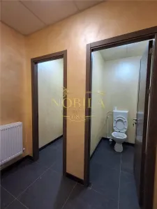 SPATIU COMERCIAL DE INCHIRIAT 230 MP IN ONESTI - foto 11