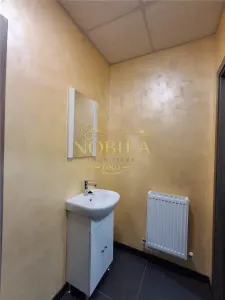 SPATIU COMERCIAL DE INCHIRIAT 230 MP IN ONESTI - foto 10