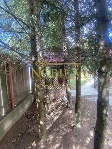 VILA  10 camere P + 1 si TEREN in ZONA HALOS - LOCUINTA/BUSSINES IN MANASTIREA CASIN DE VANZARE IN EXCLUSIVITATE - foto 4