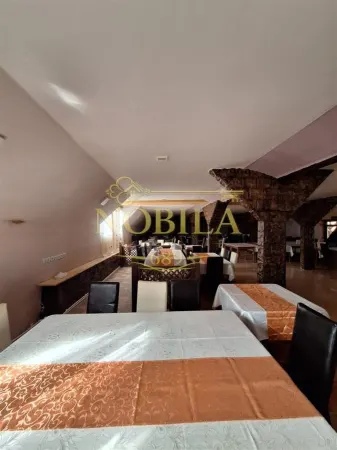 Hotel/Pensiune Dofteana - poza 13