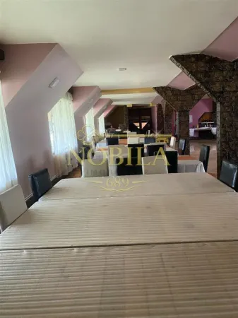 Hotel/Pensiune Dofteana - poza 14