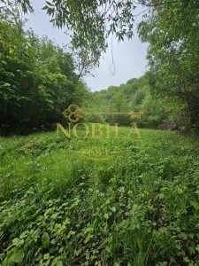 TEREN  PENTRU BUSSINESS 2842 MP DE VANZARE IN STATIUNEA  TARGU OCNA - foto 9