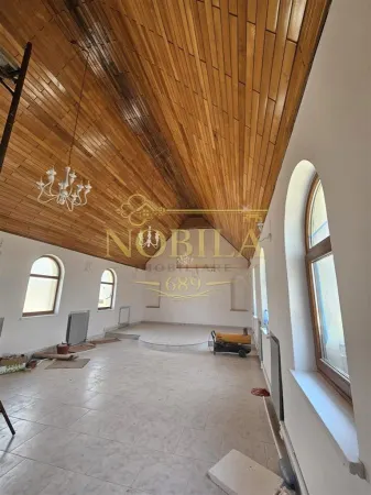 Hotel/Pensiune Borzesti - poza 13