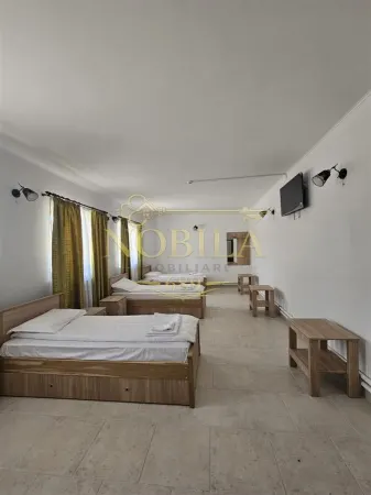 Hotel/Pensiune Borzesti - poza 18