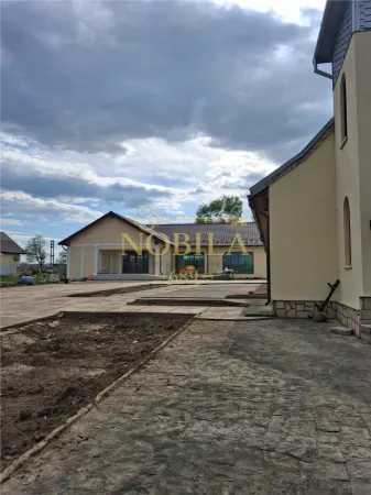 Hotel/Pensiune Borzesti - poza 8
