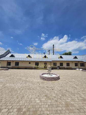 Hotel/Pensiune Borzesti - poza 9